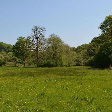 Hotel Aldridge Mill Oakford Esterno foto