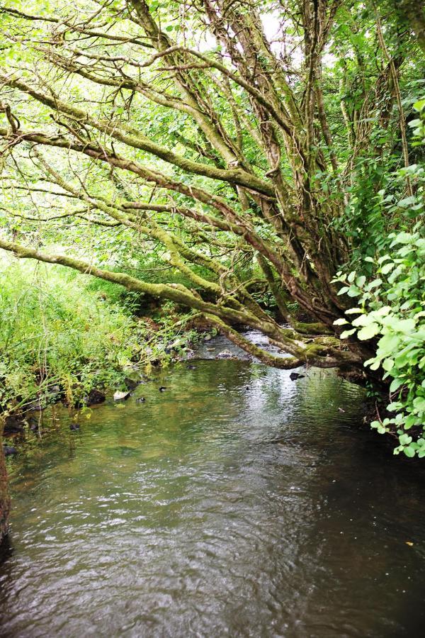 Hotel Aldridge Mill Oakford Esterno foto