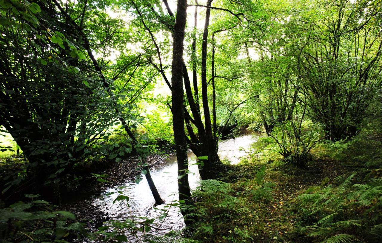 Hotel Aldridge Mill Oakford Esterno foto